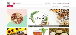 طراحی سایت خشکبار